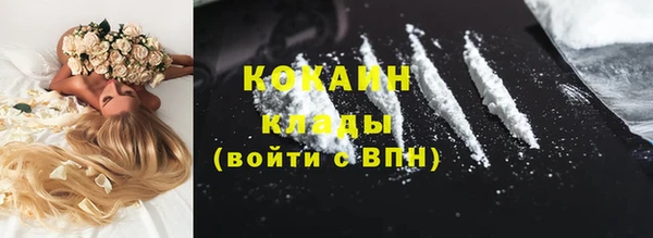 крисы Белокуриха