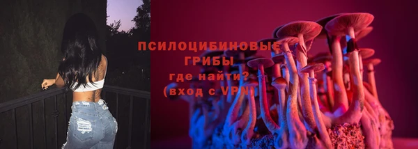 бошки Протвино