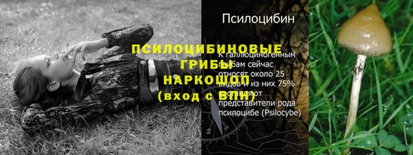 стафф Беломорск