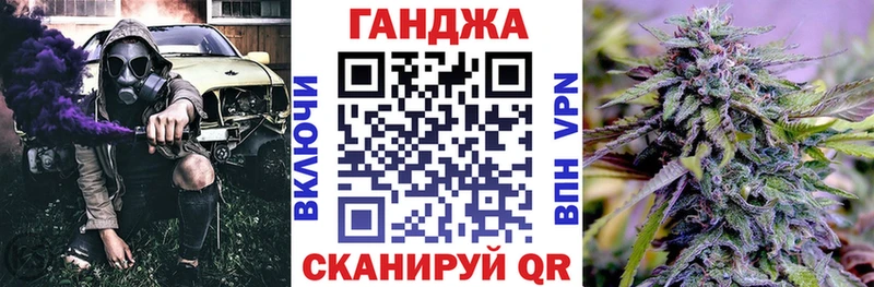 где можно купить   Соль-Илецк  Канабис ГИДРОПОН 